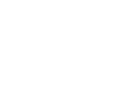 Phần mềm mô phỏng/kiểm định Phần mềm mô phỏng/kiểm định